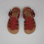 Sepali Kids - Image 9